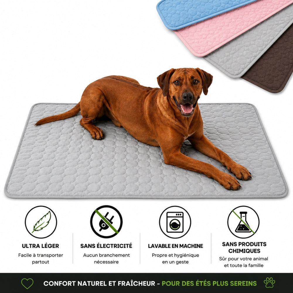 Tapis rafraîchissant | 2 achetés = 1 offert